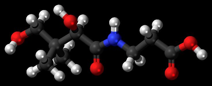 Pantothenic acid